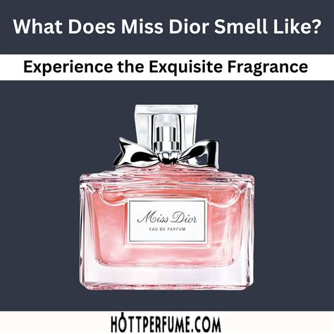 pubblicità di miss dior|what does miss dior perfume smell like.